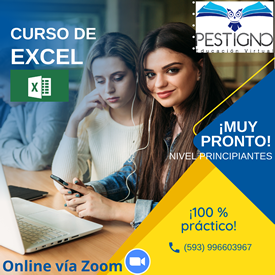 Excel 100% práctico - Nivel Principiante 